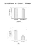 STABILIZED ALPHA HELICAL PEPTIDES AND USES THEREOF diagram and image