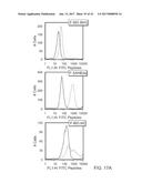 STABILIZED ALPHA HELICAL PEPTIDES AND USES THEREOF diagram and image