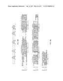 STABILIZED ALPHA HELICAL PEPTIDES AND USES THEREOF diagram and image