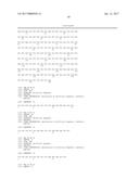 STABILIZED ALPHA HELICAL PEPTIDES AND USES THEREOF diagram and image