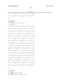 MODIFIED MENINGOCOCCAL FHBP POLYPEPTIDES diagram and image