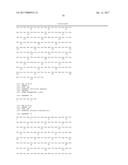 MODIFIED MENINGOCOCCAL FHBP POLYPEPTIDES diagram and image