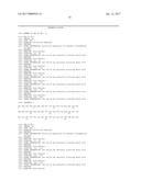 Polypeptide Libraries With A Predetermined Scaffold diagram and image