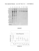 POLYMER PARTICLES AND USES THEREOF diagram and image