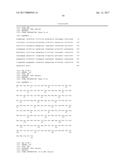 IL-22 POLYPEPTIDES AND IL-22 Fc FUSION PROTEINS AND METHODS OF USE diagram and image