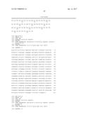 IL-22 POLYPEPTIDES AND IL-22 Fc FUSION PROTEINS AND METHODS OF USE diagram and image