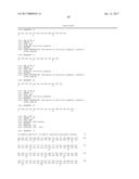 IL-22 POLYPEPTIDES AND IL-22 Fc FUSION PROTEINS AND METHODS OF USE diagram and image