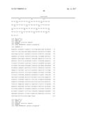 IL-22 POLYPEPTIDES AND IL-22 Fc FUSION PROTEINS AND METHODS OF USE diagram and image