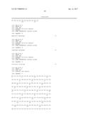 IL-22 POLYPEPTIDES AND IL-22 Fc FUSION PROTEINS AND METHODS OF USE diagram and image