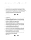 IL-22 POLYPEPTIDES AND IL-22 Fc FUSION PROTEINS AND METHODS OF USE diagram and image