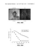 IL-22 POLYPEPTIDES AND IL-22 Fc FUSION PROTEINS AND METHODS OF USE diagram and image