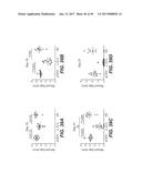 IL-22 POLYPEPTIDES AND IL-22 Fc FUSION PROTEINS AND METHODS OF USE diagram and image