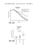 IL-22 POLYPEPTIDES AND IL-22 Fc FUSION PROTEINS AND METHODS OF USE diagram and image