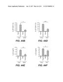 IL-22 POLYPEPTIDES AND IL-22 Fc FUSION PROTEINS AND METHODS OF USE diagram and image