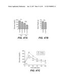 IL-22 POLYPEPTIDES AND IL-22 Fc FUSION PROTEINS AND METHODS OF USE diagram and image