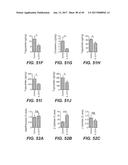 IL-22 POLYPEPTIDES AND IL-22 Fc FUSION PROTEINS AND METHODS OF USE diagram and image