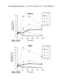 IL-22 POLYPEPTIDES AND IL-22 Fc FUSION PROTEINS AND METHODS OF USE diagram and image