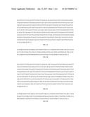 Expression of Chimeric Polypeptide with Variable Lymphocyte Receptors on     Immune Cells and Uses for Treating Cancer diagram and image