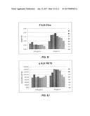 METHOD OF PRODUCING RECOMBINANT HIGH MOLECULAR WEIGHT vWF IN CELL CULTURE diagram and image