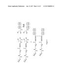 HYBRID IMMUNOGLOBULIN CONTAINING NON-PEPTIDYL LINKAGE diagram and image