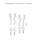 HYBRID IMMUNOGLOBULIN CONTAINING NON-PEPTIDYL LINKAGE diagram and image