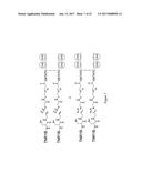 HYBRID IMMUNOGLOBULIN CONTAINING NON-PEPTIDYL LINKAGE diagram and image