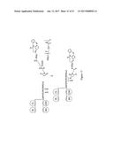 HYBRID IMMUNOGLOBULIN CONTAINING NON-PEPTIDYL LINKAGE diagram and image