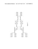 HYBRID IMMUNOGLOBULIN CONTAINING NON-PEPTIDYL LINKAGE diagram and image