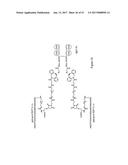 HYBRID IMMUNOGLOBULIN CONTAINING NON-PEPTIDYL LINKAGE diagram and image