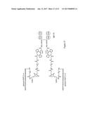 HYBRID IMMUNOGLOBULIN CONTAINING NON-PEPTIDYL LINKAGE diagram and image