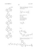 HYBRID IMMUNOGLOBULIN CONTAINING NON-PEPTIDYL LINKAGE diagram and image