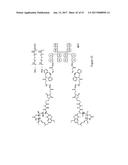 HYBRID IMMUNOGLOBULIN CONTAINING NON-PEPTIDYL LINKAGE diagram and image