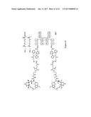 HYBRID IMMUNOGLOBULIN CONTAINING NON-PEPTIDYL LINKAGE diagram and image