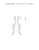 HYBRID IMMUNOGLOBULIN CONTAINING NON-PEPTIDYL LINKAGE diagram and image