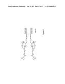 HYBRID IMMUNOGLOBULIN CONTAINING NON-PEPTIDYL LINKAGE diagram and image