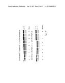 HYBRID IMMUNOGLOBULIN CONTAINING NON-PEPTIDYL LINKAGE diagram and image