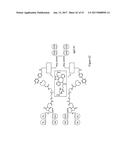 HYBRID IMMUNOGLOBULIN CONTAINING NON-PEPTIDYL LINKAGE diagram and image