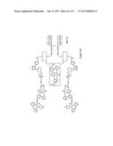 HYBRID IMMUNOGLOBULIN CONTAINING NON-PEPTIDYL LINKAGE diagram and image