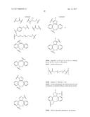 HYBRID IMMUNOGLOBULIN CONTAINING NON-PEPTIDYL LINKAGE diagram and image