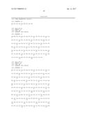 COMPOSITIONS AND METHODS FOR INCREASING MUSCLE MASS AND MUSCLE STRENGTH BY     SPECIFICALLY ANTAGONIZING GDF8 AND OR ACTIVIN A diagram and image