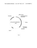 AGER-PEPTIDES AND USE THEREOF diagram and image