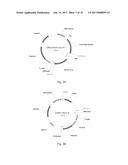 AGER-PEPTIDES AND USE THEREOF diagram and image