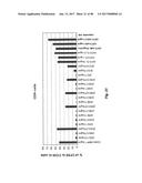 TCR Complex Immunotherapeutics diagram and image