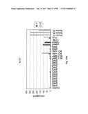 TCR Complex Immunotherapeutics diagram and image