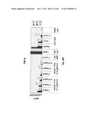 TCR Complex Immunotherapeutics diagram and image