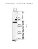 TCR Complex Immunotherapeutics diagram and image