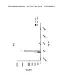 TCR Complex Immunotherapeutics diagram and image