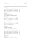 Improved Methods for the Treatment of Vascularizing Cancers diagram and image