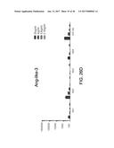 THERAPEUTIC PEPTIDES diagram and image