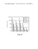 THERAPEUTIC PEPTIDES diagram and image